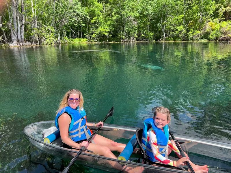 Manatees Show Up Here Year-Round