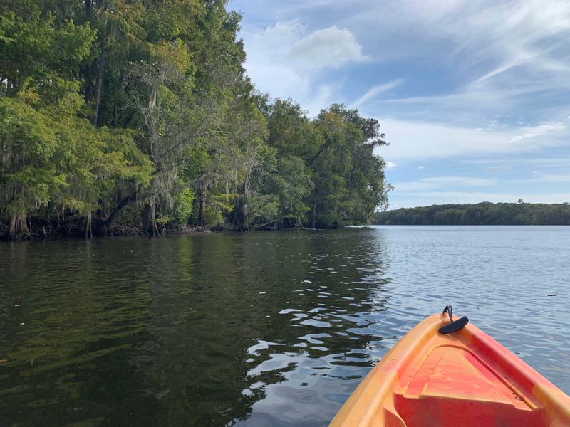 Kayaks, Canoes, And A Lazy Push To The Suwannee
