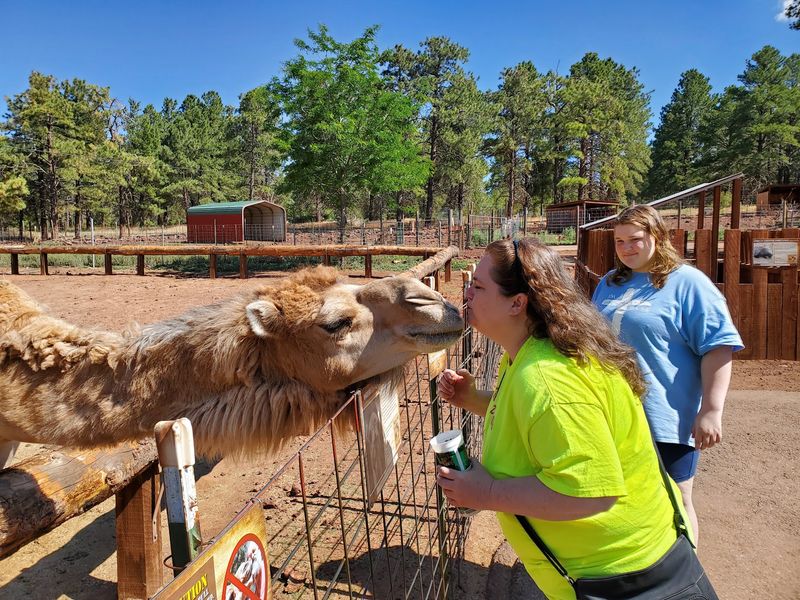 The Staff Clearly Adores These Animals The Staff Clearly Adores These Animals