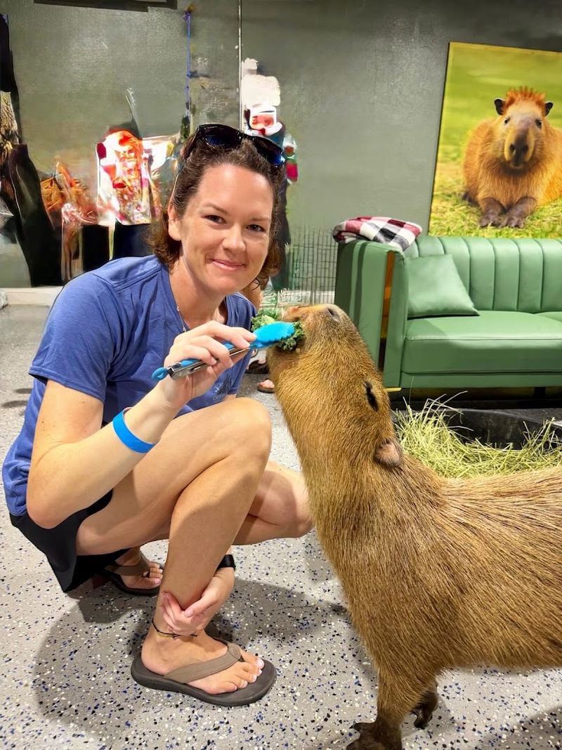 The Staff Is Knowledgeable, Patient, And Genuinely Passionate About Animals