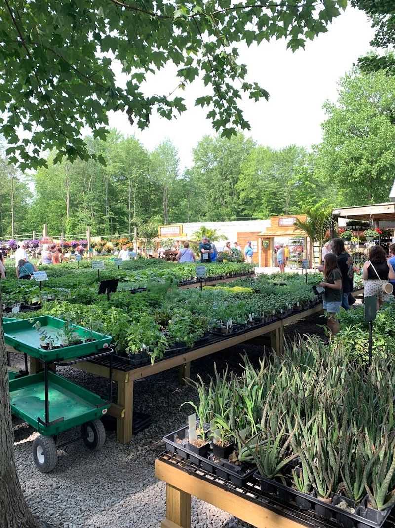 Planning Your Visit and What to Expect