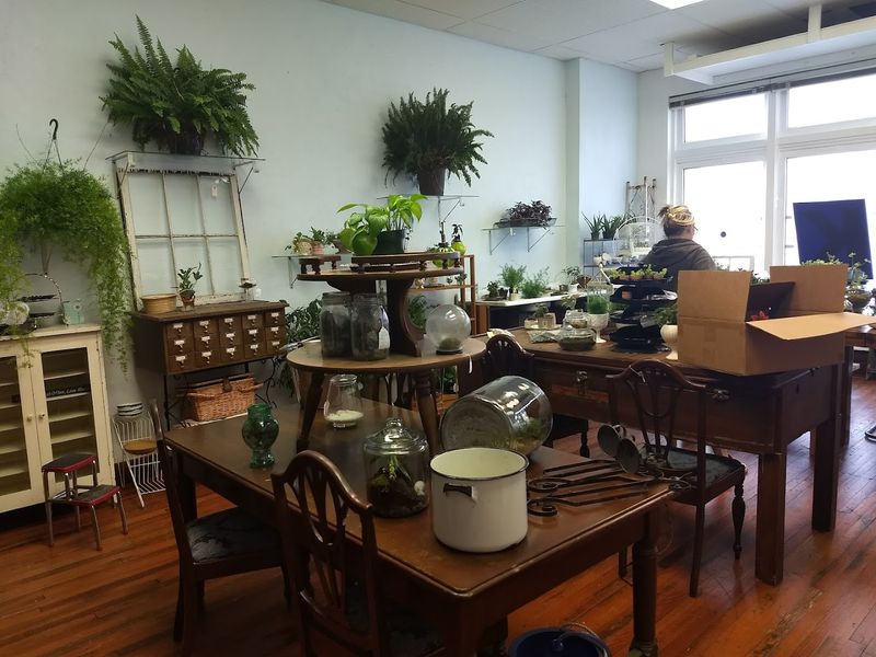 Plants, Stickers, And Things You Cannot Categorize