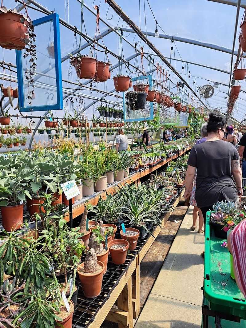 The Staff Who Actually Know Their Plants