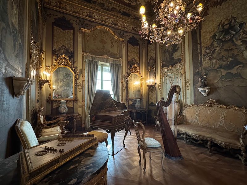 Rooms Frozen In A Gilded Age Fantasy