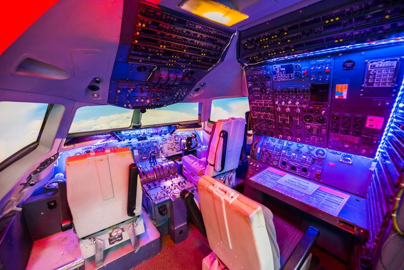 The Flight Simulator Experience