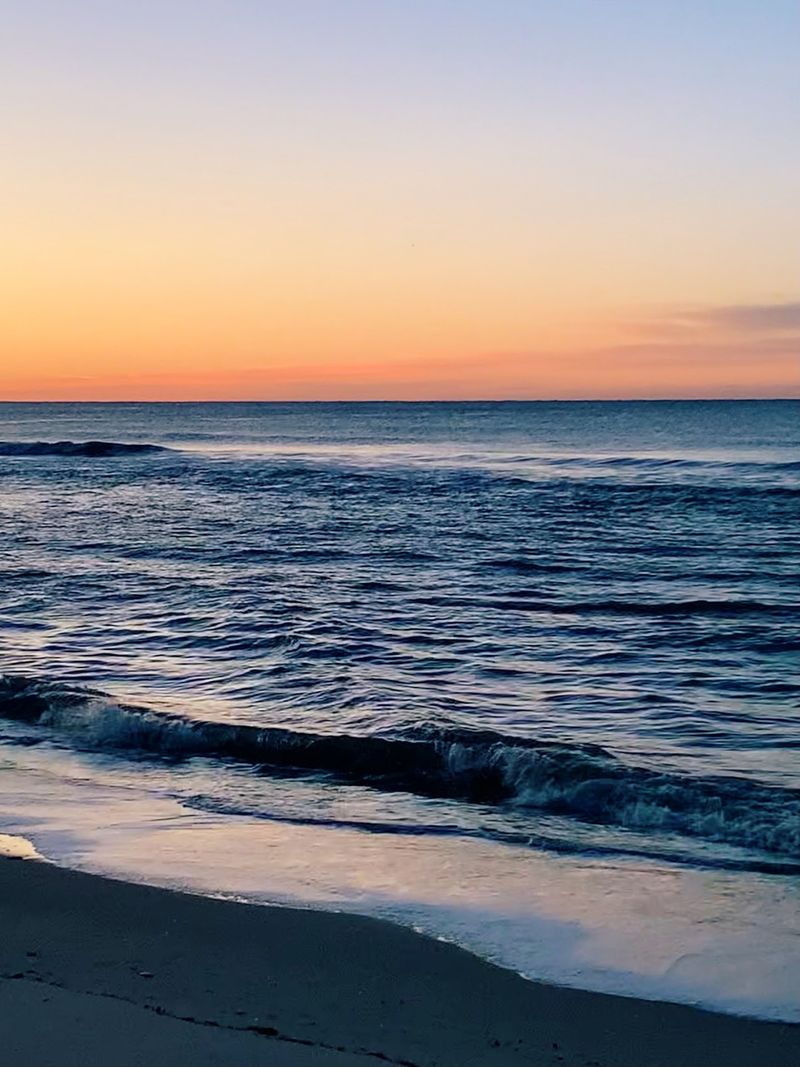 The State Park Here Is One Of Florida's Most Pristine Natural Spaces The State Park Here Is One Of Florida's Most Pristine Natural Spaces