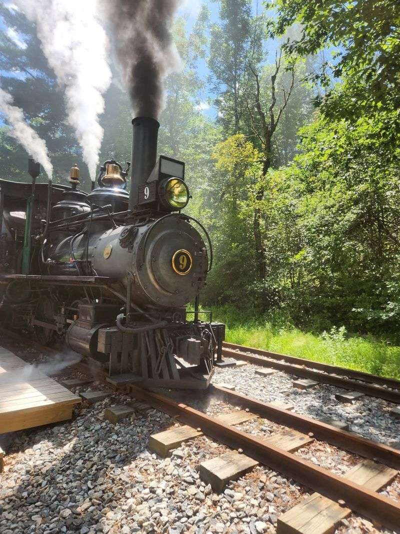 The Steam Train Ride Through The Woods