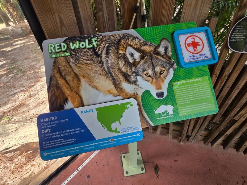 A Safari Ride That Brings Africa To Tampa Bay