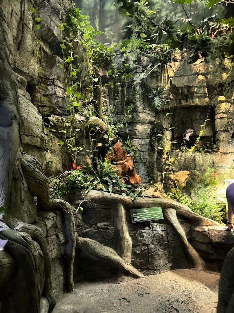 The Tiger Exhibit: An Unexpected Land Animal In A Marine Setting