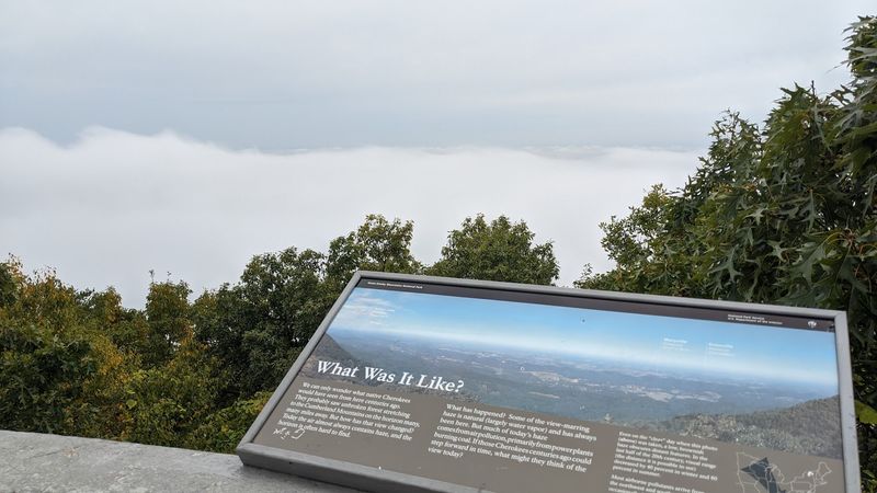 The 360-Degree View Is The Kind That Makes You Forget Your Name