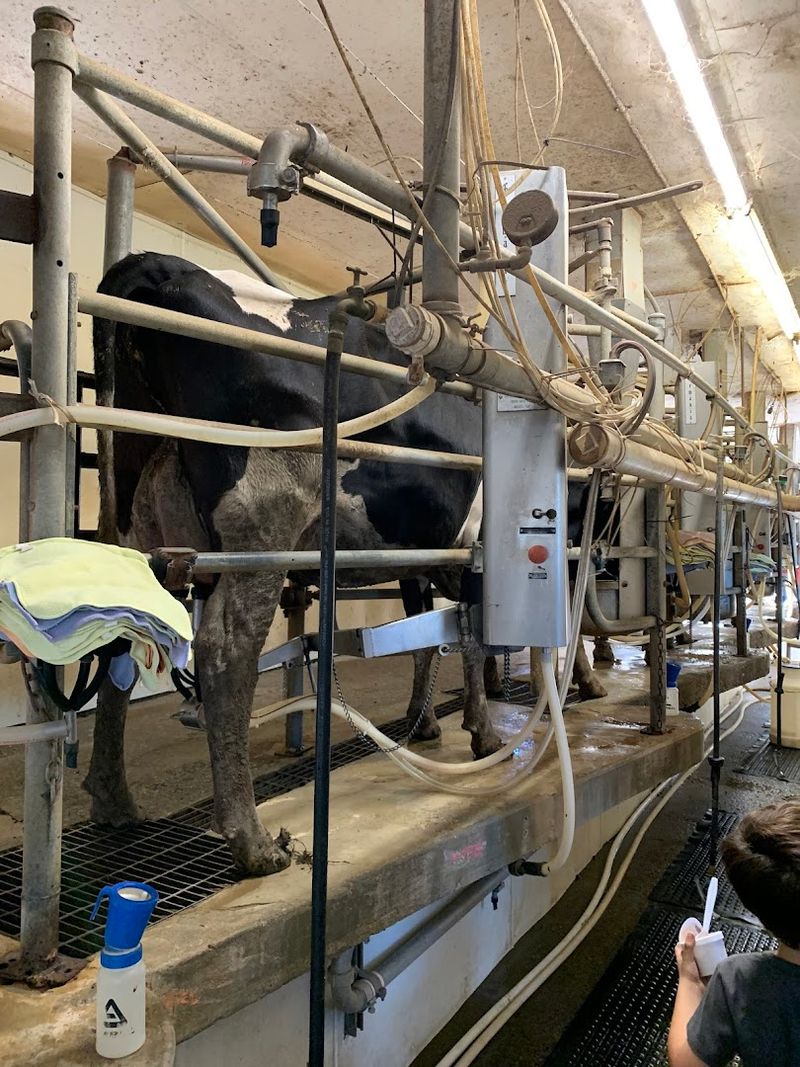 Tours Are Available And Give You A Real Behind-The-Scenes Look At The Farm
