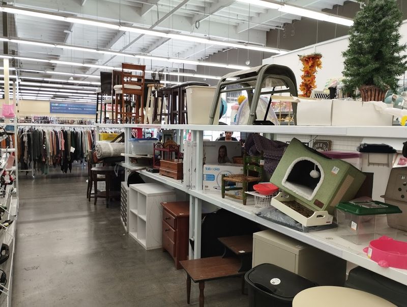 The Store Layout And Scale