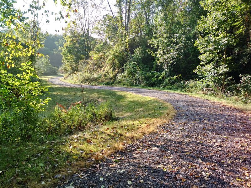 Nature's Slow Reclamation