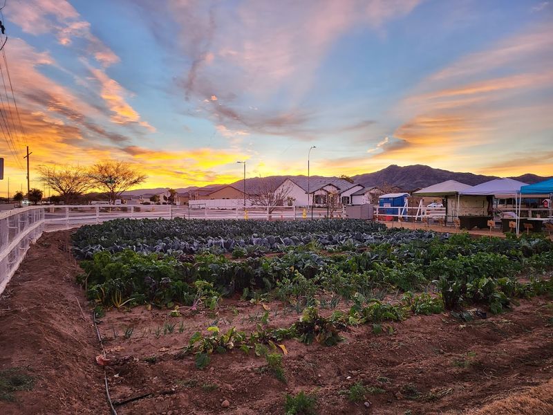 The Story Behind Amadio Ranch The Story Behind Amadio Ranch