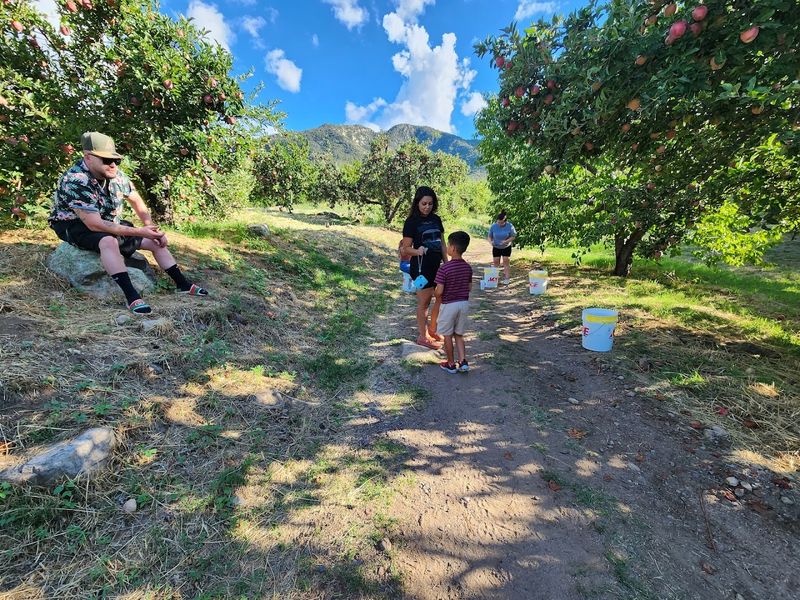 The Story Behind Angle Orchard