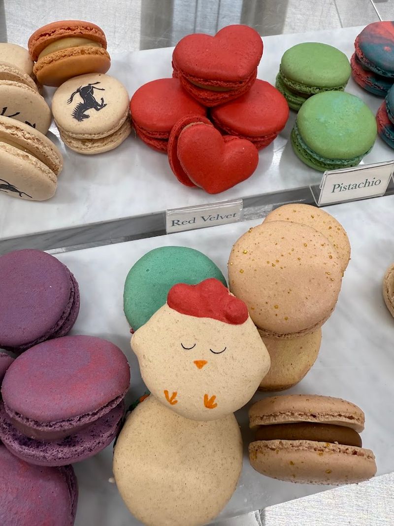 The Story Behind Izzy Macarons The Story Behind Izzy Macarons