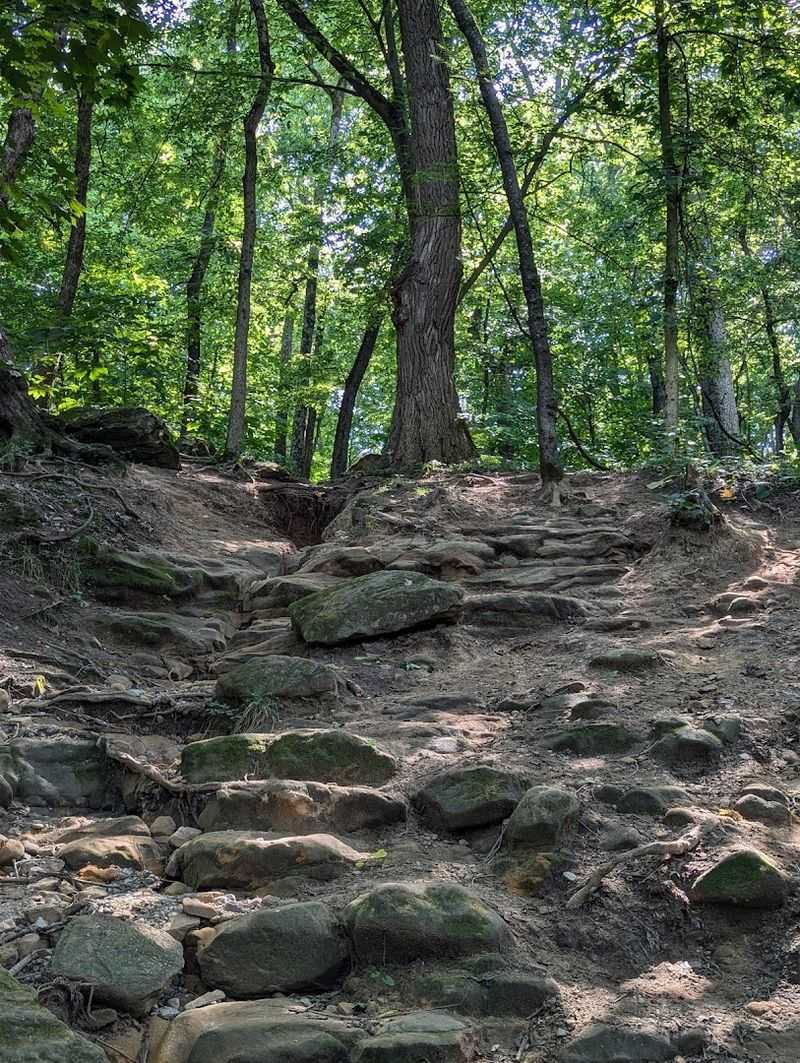The Hike Up: Trails, Terrain, And What To Expect