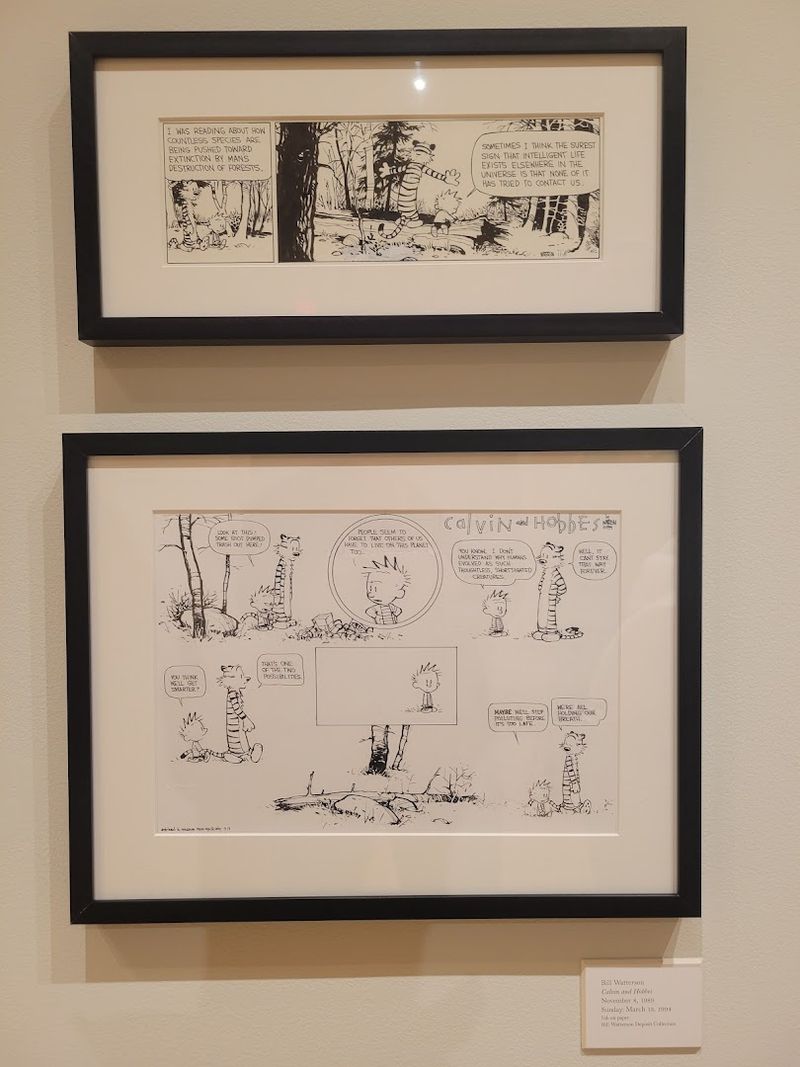 Calvin and Hobbes Originals That Hit Differently in Person