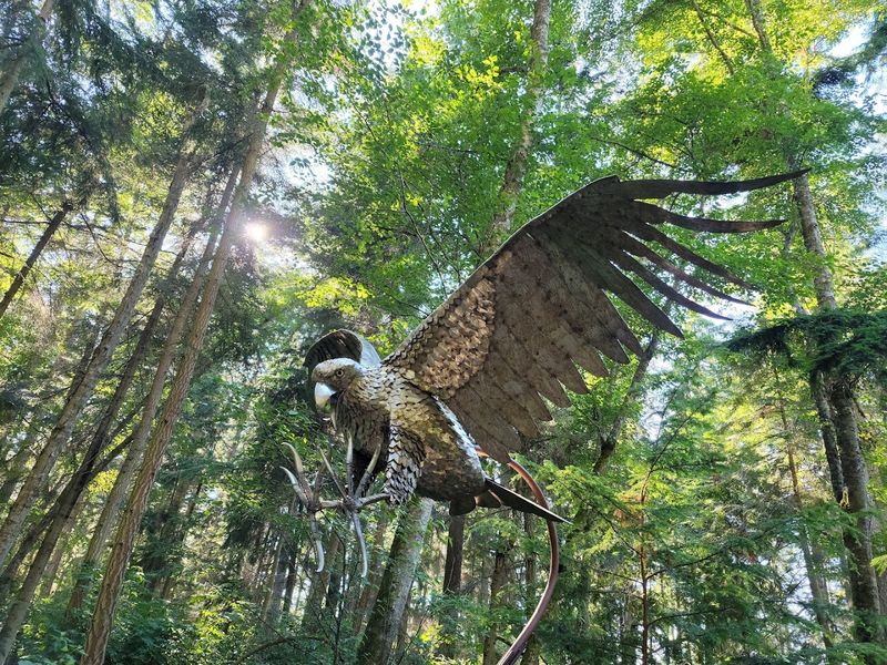 The Sculptures Themselves: Strange, Beautiful, and Unforgettable