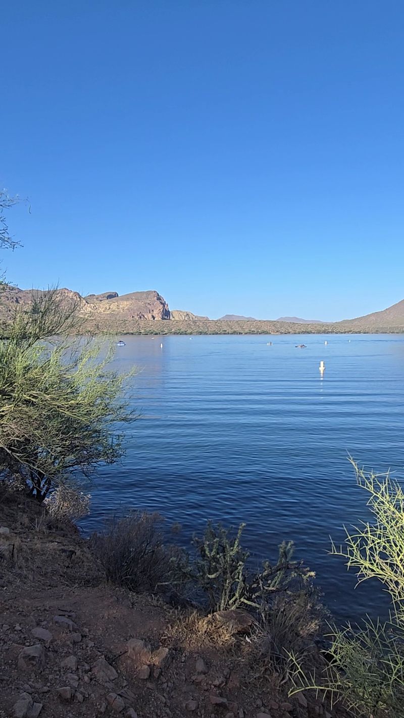 The Story Behind Saguaro Lake