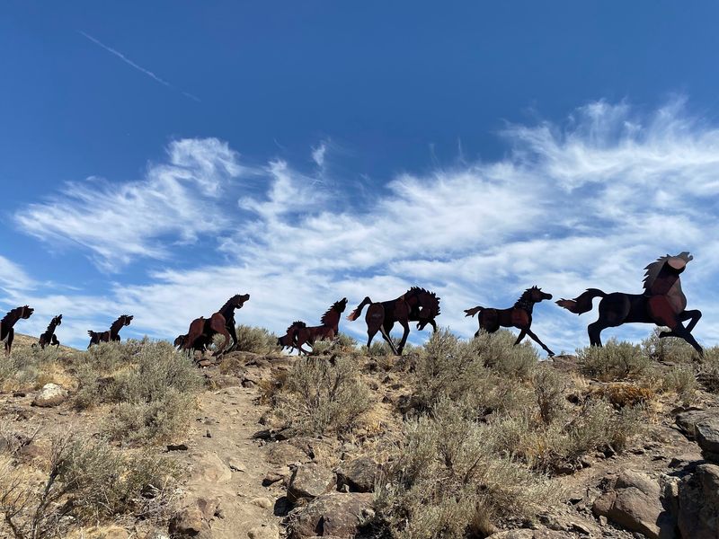 The Story Behind The Metal Steeds