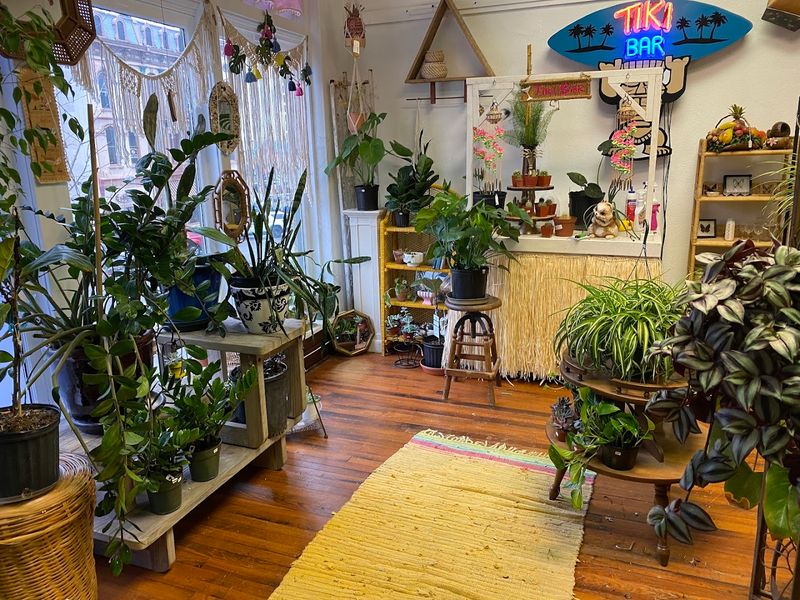 Two Floors Of Pure Discovery