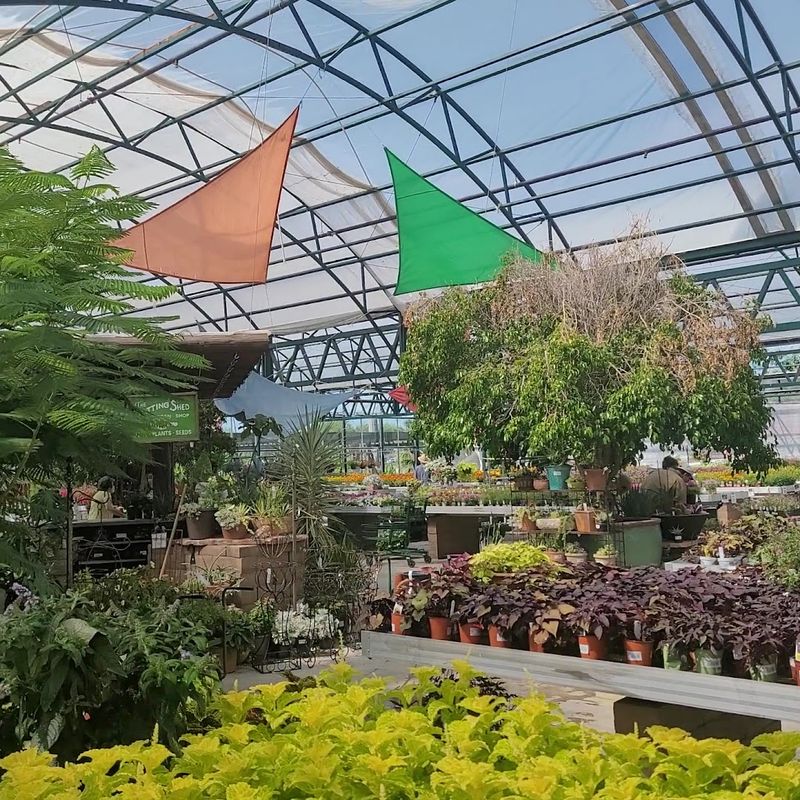 The Story Behind The Nursery