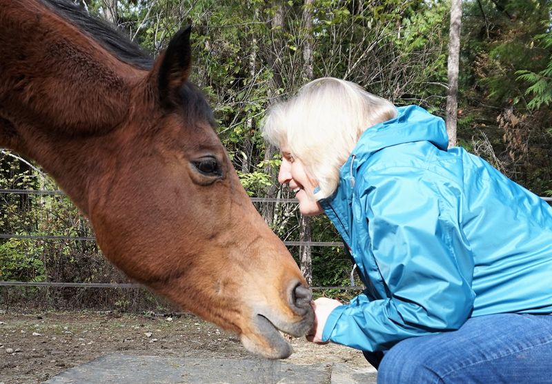 The Story Behind The Sanctuary The Story Behind The Sanctuary