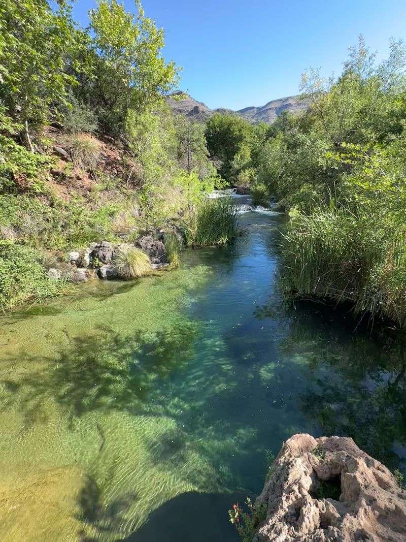 What The Water Actually Looks Like