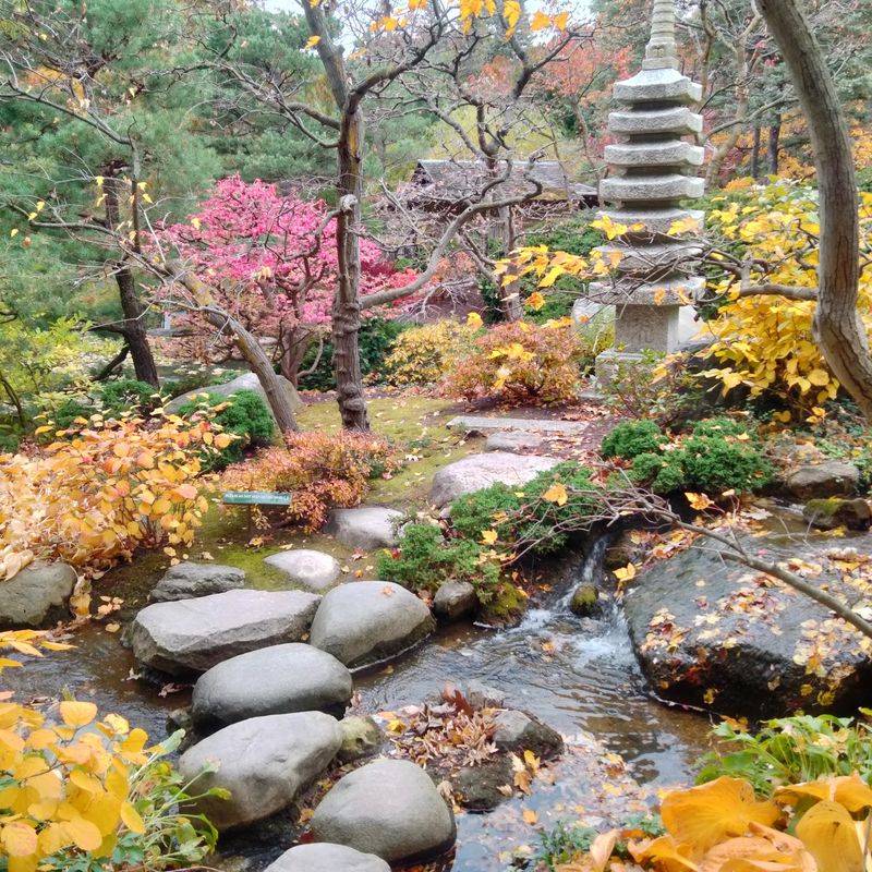 The Story Behind The Streams And Stone The Story Behind The Streams And Stone