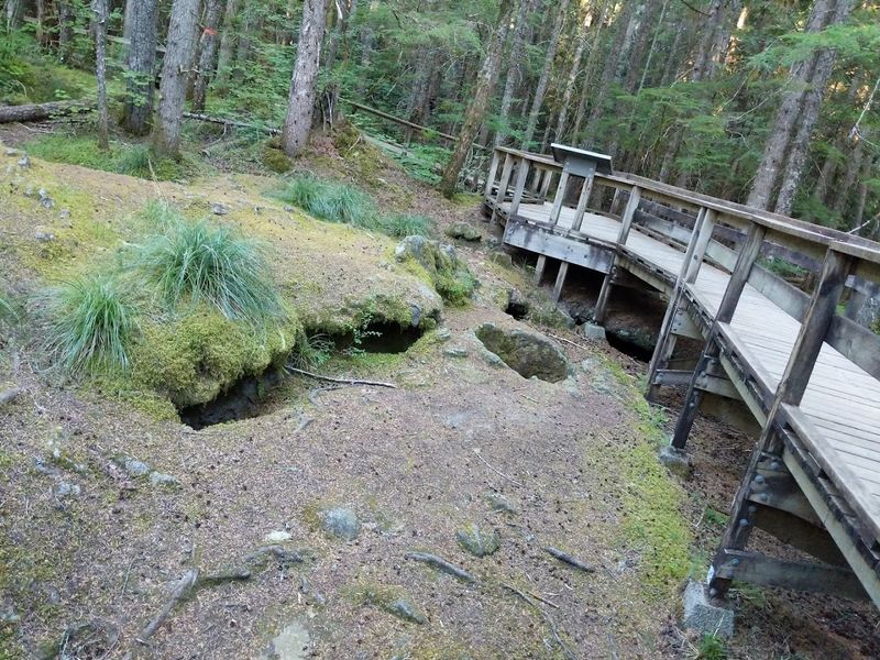 The Story Behind The Trail Of Two Forests