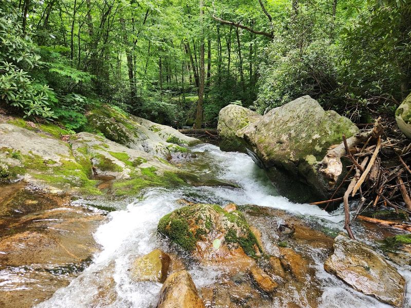 Where Serenity Goes With You