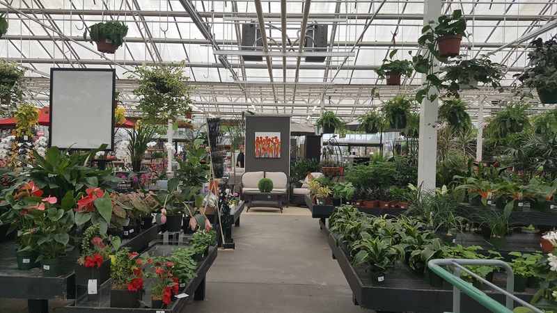 The Story Behind Watson's Greenhouse The Story Behind Watson's Greenhouse