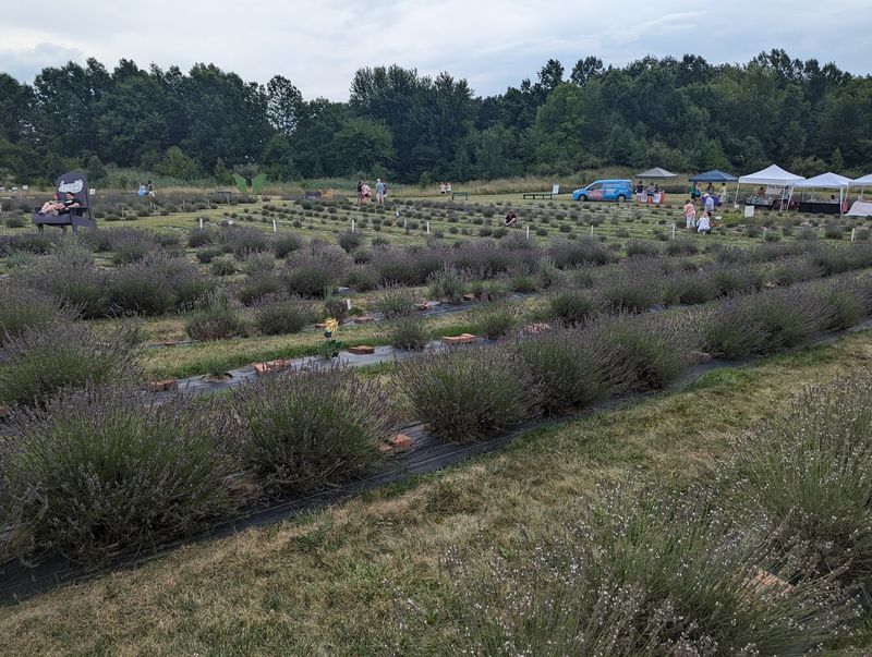 What the Field Actually Looks Like