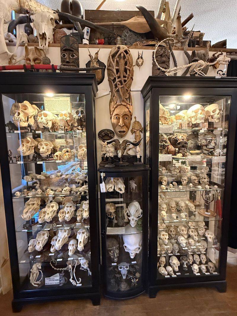 The Story Behind the Collection The Story Behind the Collection