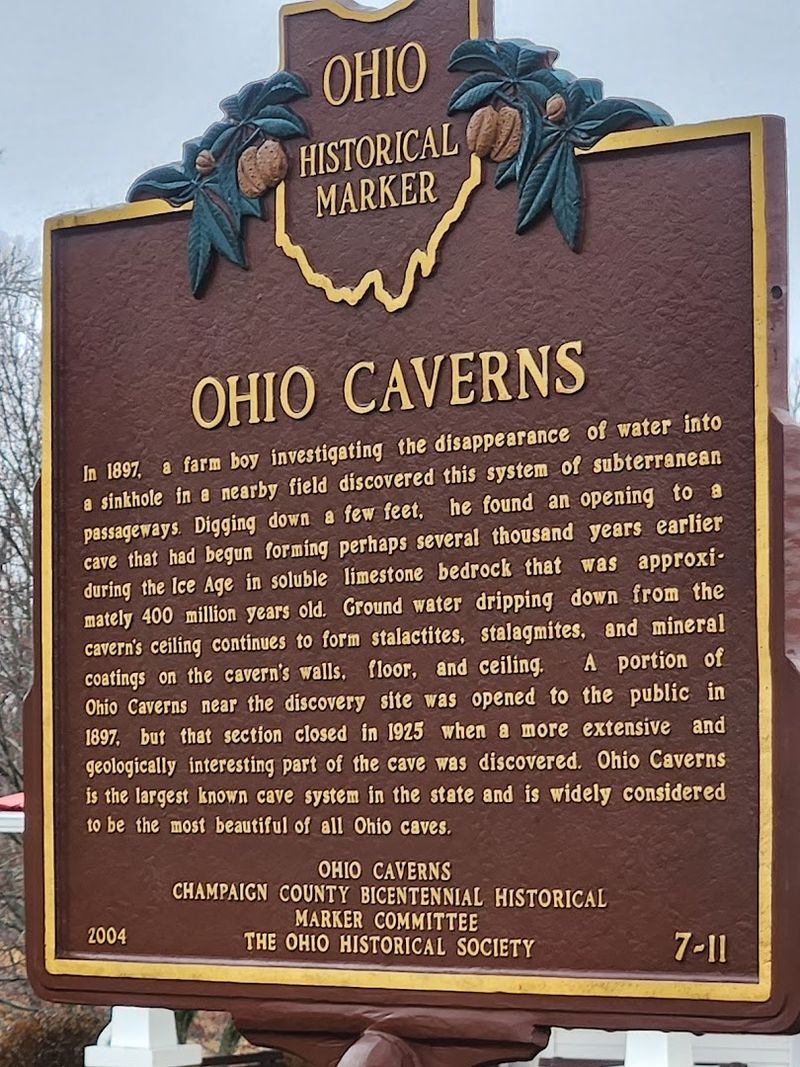 The Story Behind the Discovery