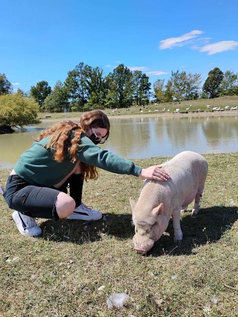 The Story Behind the Sanctuary