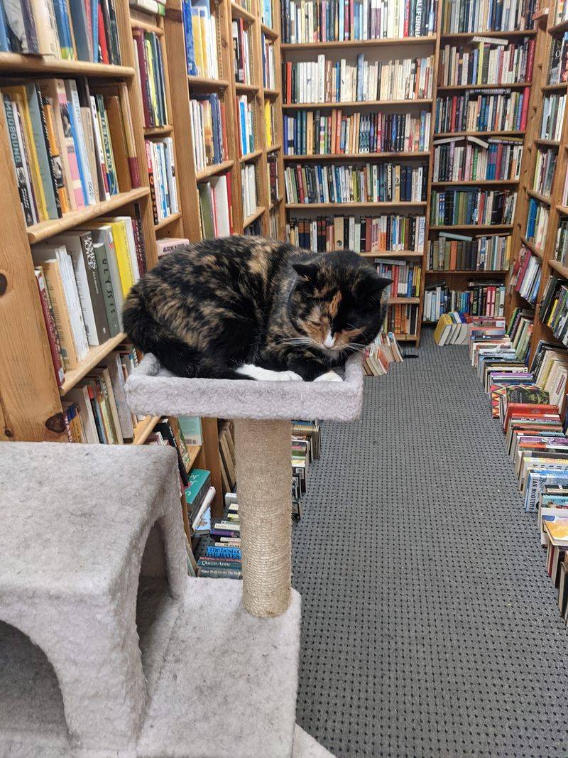 The Story Behind the Shelves