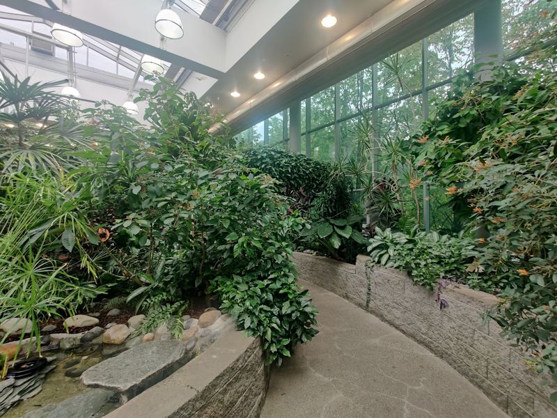 The Story Behind the Winged Sanctuary