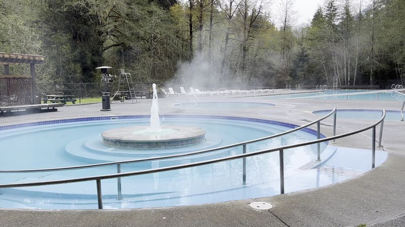 The Story of Steaming Waters in the Evergreens