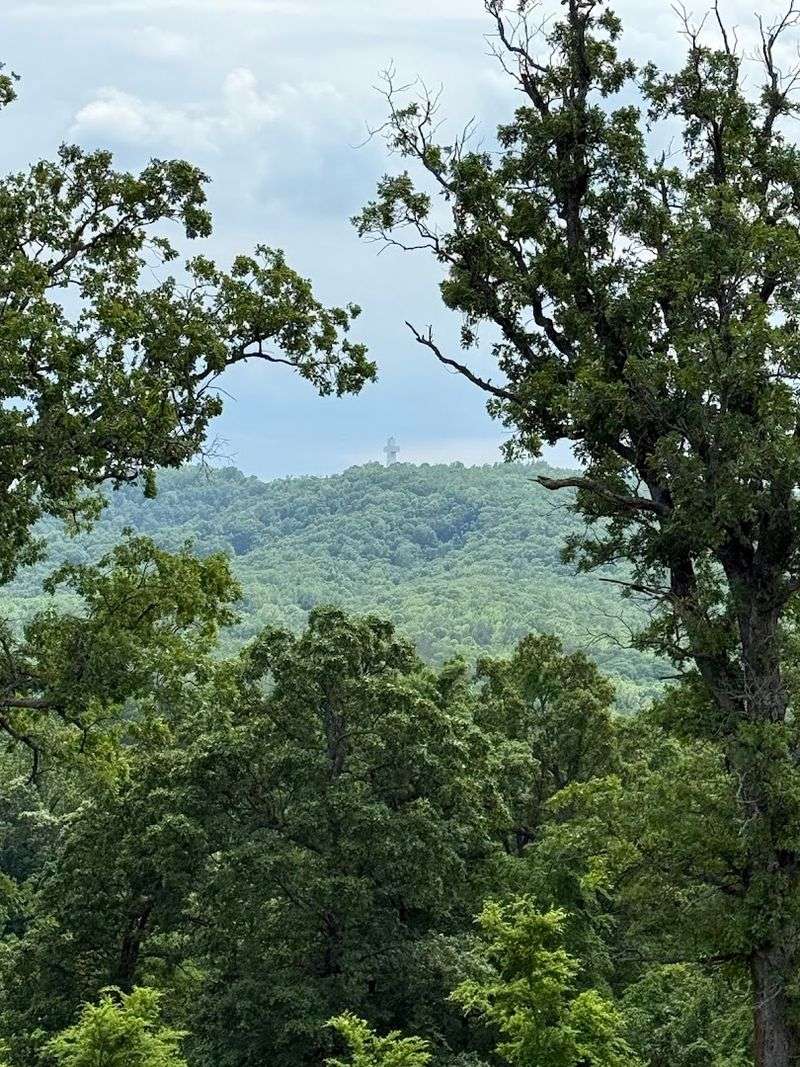 Overlooking The Shawnee National Forest