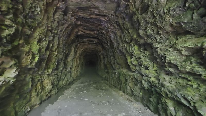 The Stumphouse Tunnel Nearby