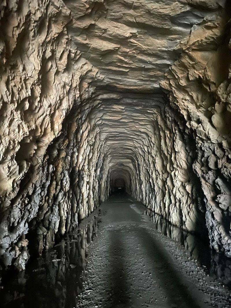 The Stumphouse Tunnel Next Door