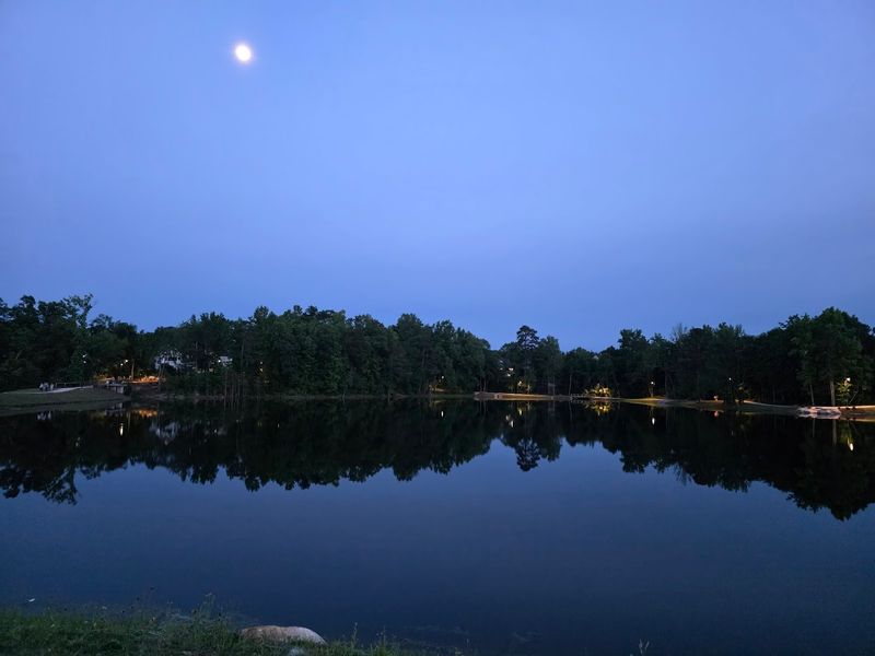 The Stunning Pond View That Sets The Scene