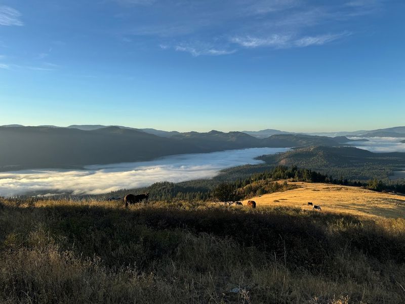 The Stunning Setting That Makes Every View Worth Stopping For