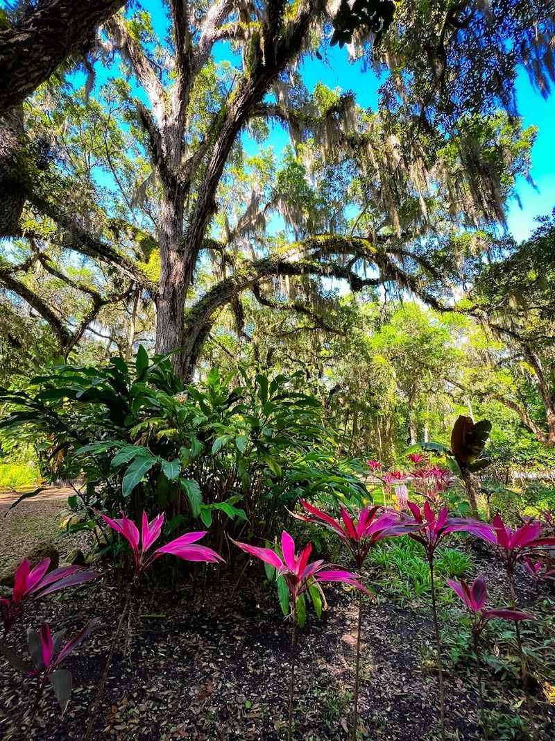 Completely Free Admission With A Donation Box