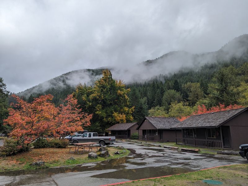 The Sulfur Scent and Rustic Realities