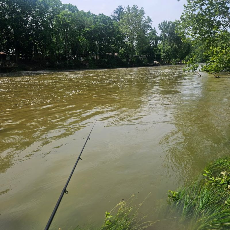 Fishing At Mississinewa Is A Whole Personality