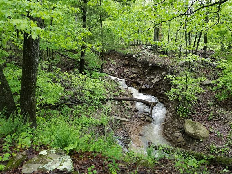 When This Place Was Covered By An Ancient Sea
