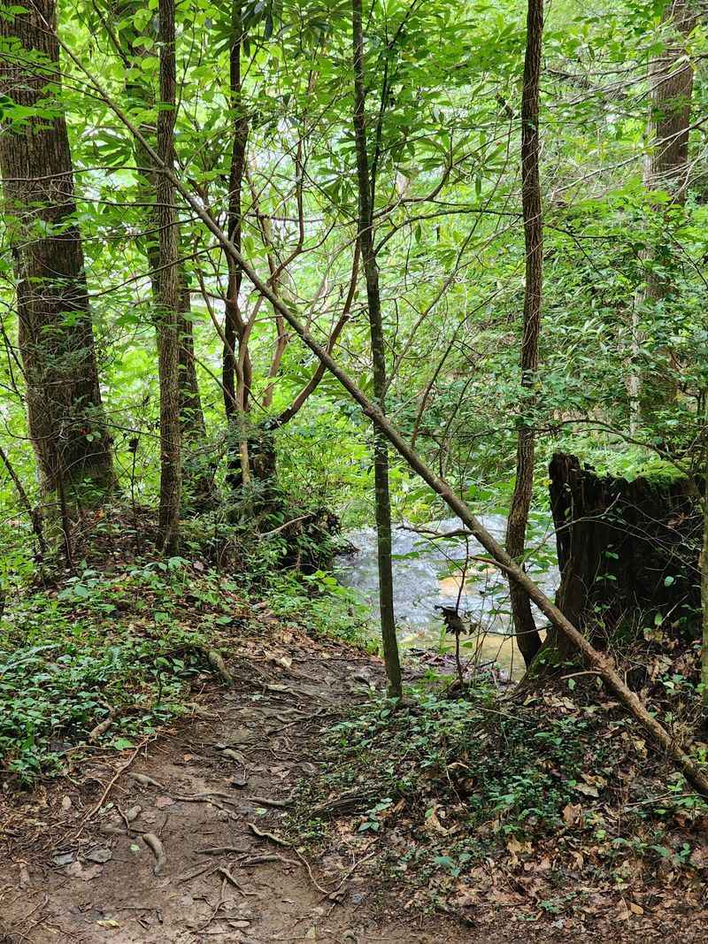The Surrounding Area Adds To The Full Adventure